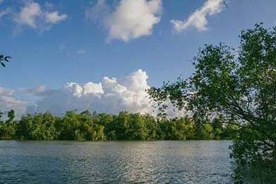 学生可以用的网恋软件(15岁谈恋爱的软件)